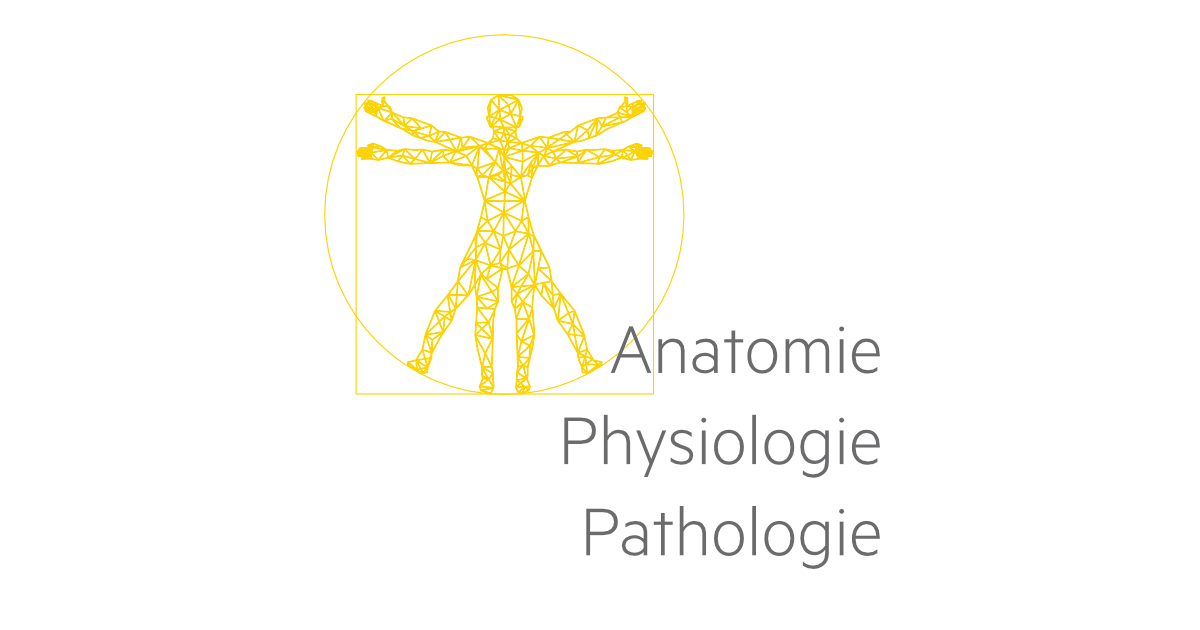 Formation En Anatomie Physiologie Pathologie