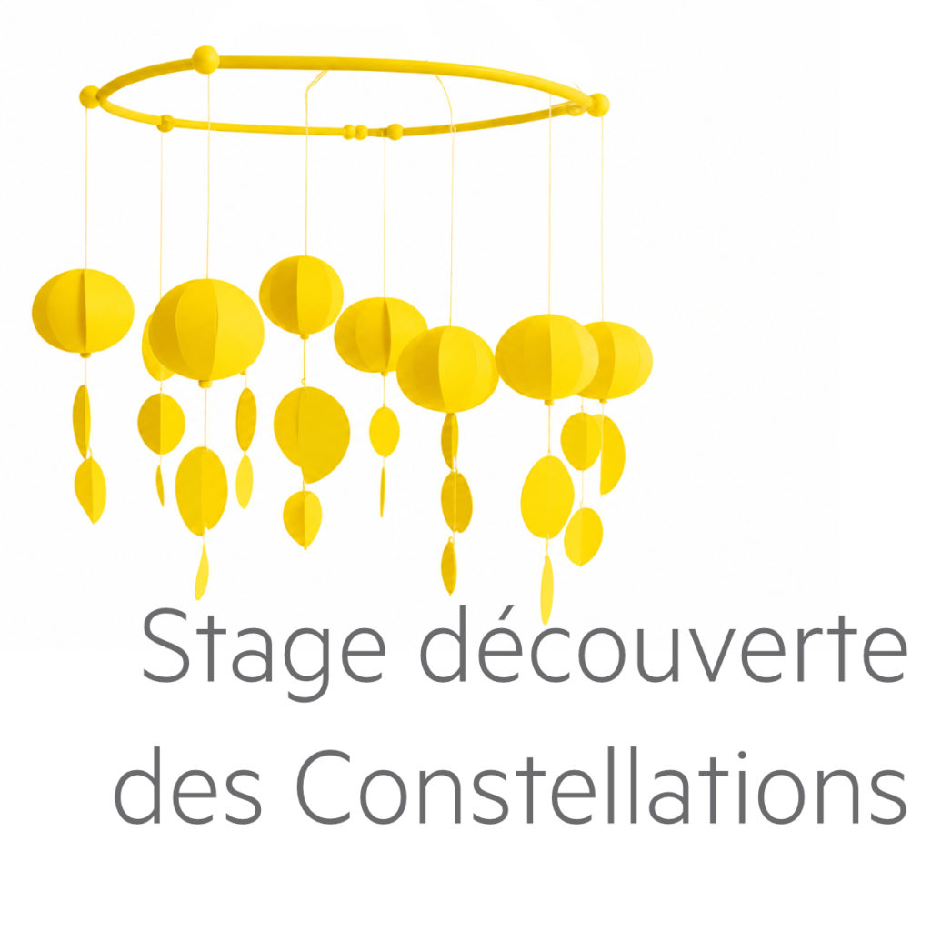 Stage découverte des constellations